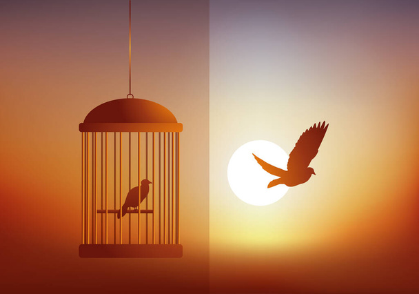 Concept of freedom, with a bird locked in a cage watching another fly freely in front of a sunset. - Vector, Image