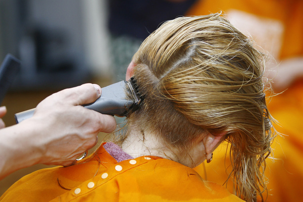 Corte de pelo rubio en el salón con cortador de pelo
 - Foto, imagen
