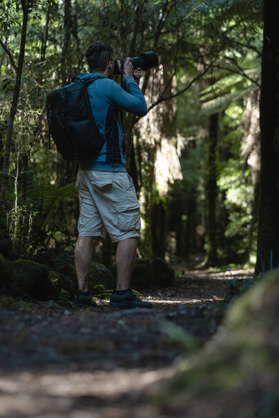 森の中で大きなレンズを持って写真を撮る写真家。垂直写真 - 写真・画像