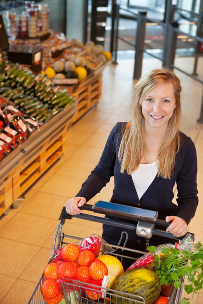 Portrait of woman holding shopping cart - Zdjęcie, obraz