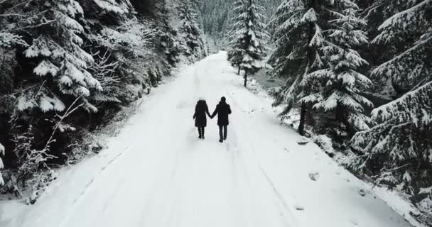 Spacer dwojga zakochanych na drodze wśród wysokich choinek pokrytych śniegiem. - Materiał filmowy, wideo