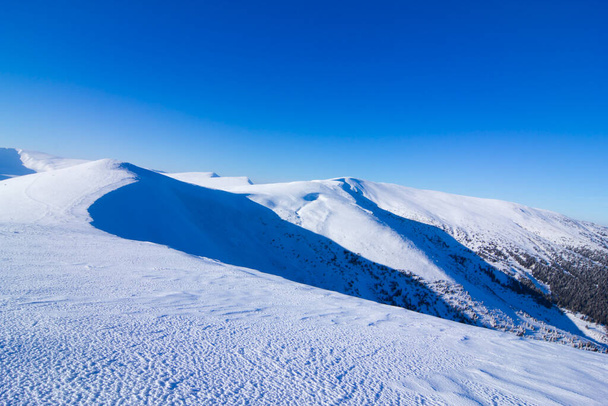 Carpathian mountains in winter. Winter landscape taken in mountains. - Фото, зображення