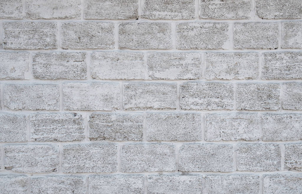 White textured brick wall made of shell rock.Light vintage background. - Foto, imagen