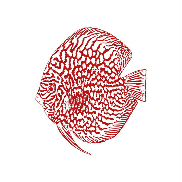 Symfysodoni, joka tunnetaan myös nimellä Discus Fish, Silhouette Illustration of the Discus Fish for Logo, Icon, Symbol, or Graphic Design Element. Vektorikuvaus - Vektori, kuva