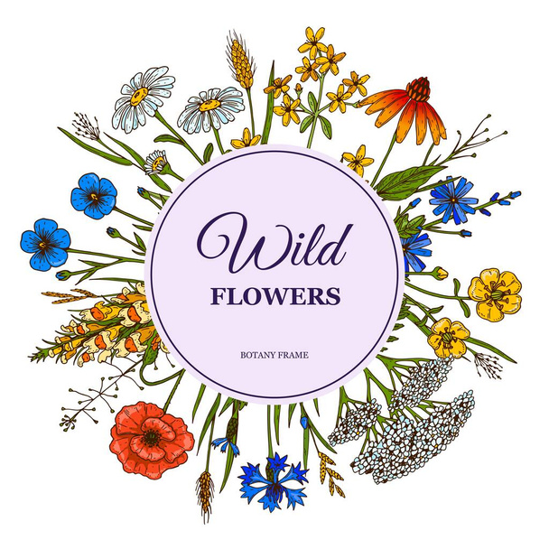 Hand drawn circle summer wildflowers frame. Vector illustration - Vector, Image
