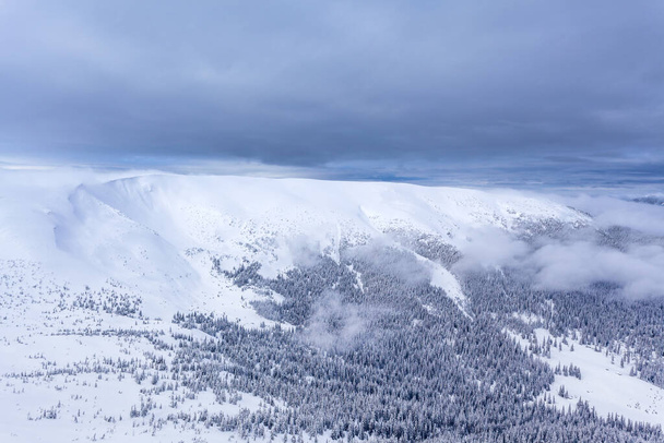 Chmury Zima Las Krajobraz widok z lotu ptaka drzew tło podróży spokojny krajobraz - Zdjęcie, obraz