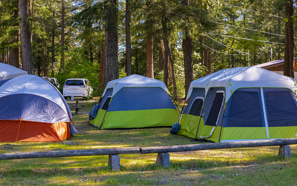 Geweldige scène van de camping in het park met zonnestralen. Ochtendschaduwen en lichten, zonneharp in het bos. Kampeerplaats met tenten in zonnige balken. - Foto, afbeelding
