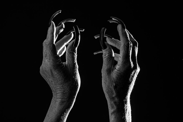 Old woman hands. Elderly woman, wrinkled hand. Old lady arms, freckles. Isolated black background. Female old scary mystic hands with long black nails of witch zomby devil on halloween holiday. - Photo, Image