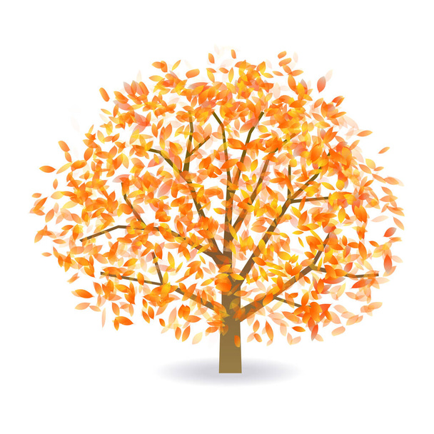 Sonbahar yaprakları sonbahar ağacı simgesi - Vektör, Görsel