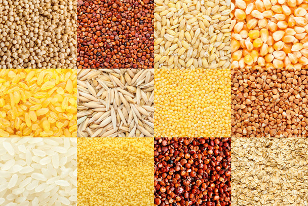 Colección de diferentes cereales, vista de primer plano - Foto, imagen