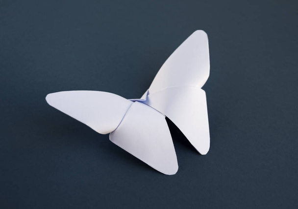 Beyaz kağıt kelebeği origamisi boş gri bir arkaplanda izole edilmiştir.. - Fotoğraf, Görsel