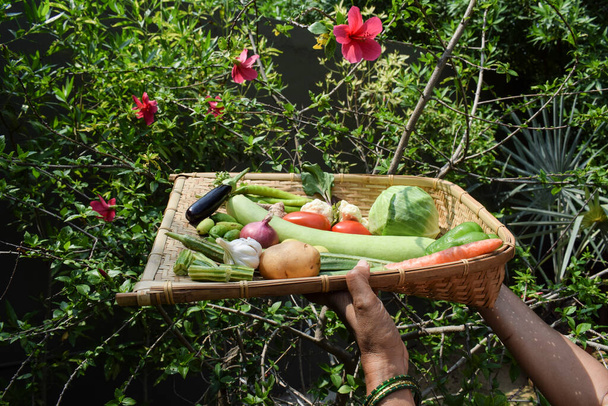 農家の新鮮な野菜と女性竹ウィッカーバスケットを保持します。インドの有機野菜。キャベツ、人参、ジャガイモ、トマトの実など様々な種類の野菜があります。 - 写真・画像