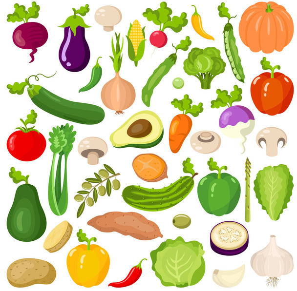 verschiedene frische Gemüsesorten - Vektor, Bild