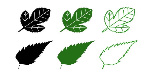 Mulberry leaf and its leaf. Vector icon illustration material - Vector, Image