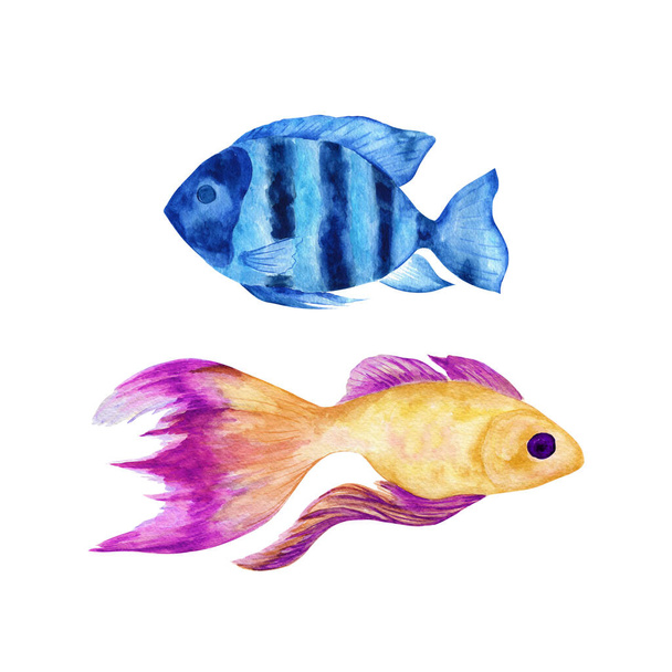 Underwater world of the sea or ocean.Watercolor tropical fish. - Photo, Image