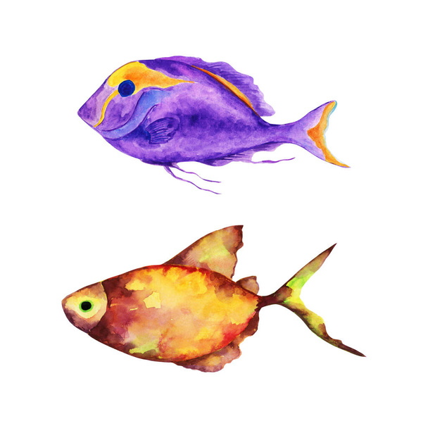 Underwater world of the sea or ocean.Watercolor tropical fish. - 写真・画像