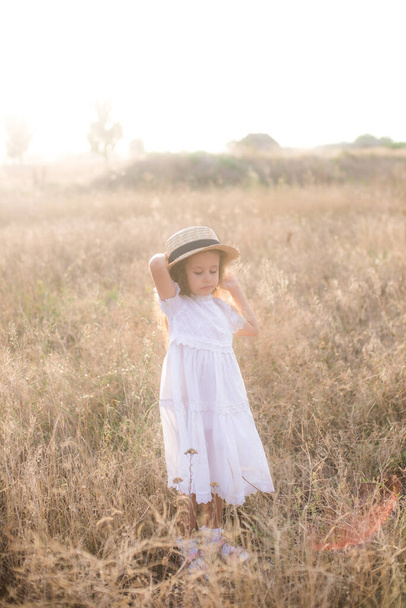 A cute little girl with long blond curly hair in a white summer dress  in a field in the countryside in summer at sunset. Nature and Ecolife - Фото, изображение