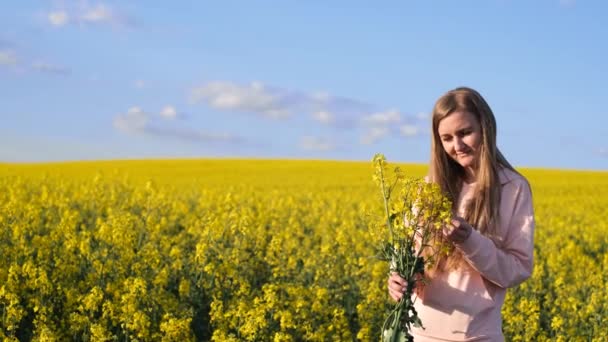 Sarı kolza tohumu tarlasında mutlu genç bir sarışın. tarımsal sarı çiçekli kolza tohumu, tarla bitkisi - Video, Çekim