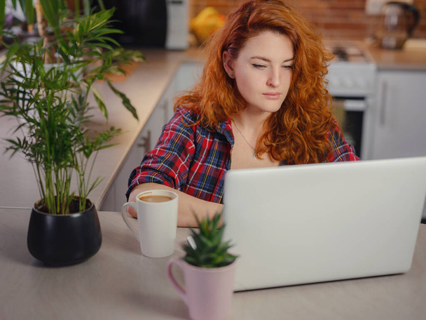 woman using laptop and smiling while working indoors - Photo, image