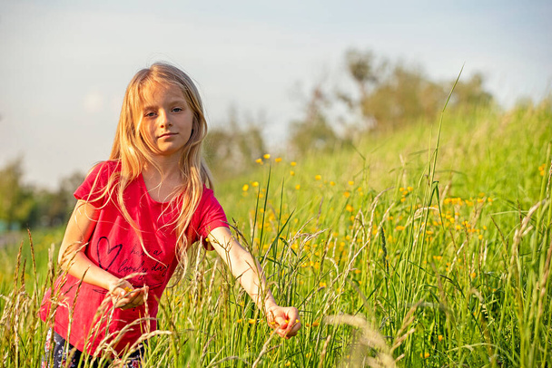 hermosa niña ucraniana con el pelo largo y blanco recoge flores en el prado por la noche en un día de verano - Foto, Imagen