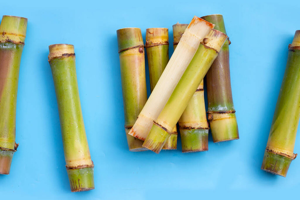 Sugar cane on blue background. - Photo, Image