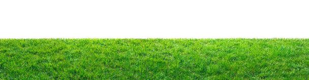 зелене трав'яне поле ізольоване на білому тлі
 - Фото, зображення