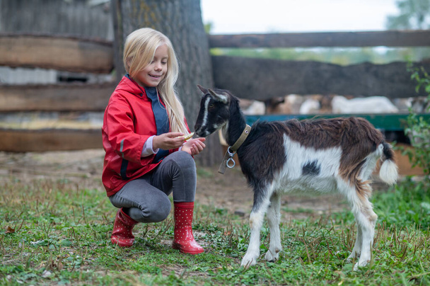 A blonde cute girl playing with a goat on farm - Foto, imagen
