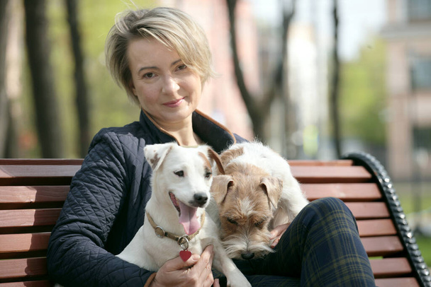 Attractive woman having rest in park with two jack russell terriers. - Foto, Bild