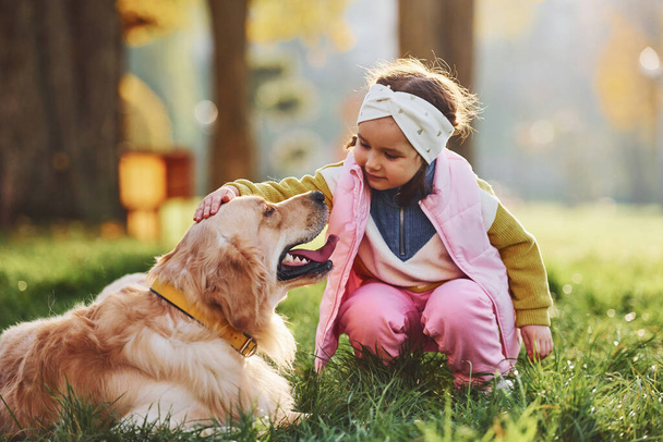 Little girl have a walk with Golden Retriever dog in the park at daytime. - Foto, immagini