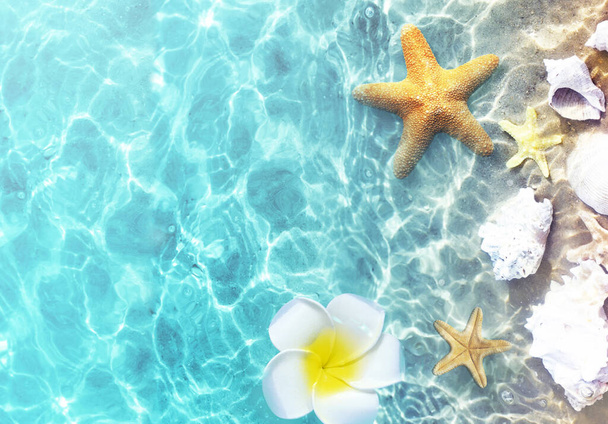 Морские звезды и ракушки на летнем пляже в морской воде. Летний фон. Летнее время. - Фото, изображение