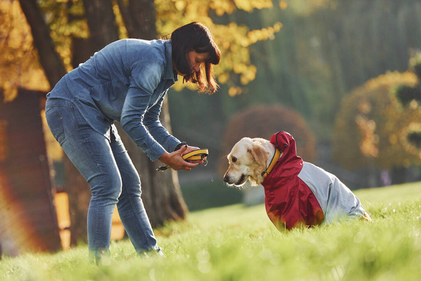 Woman have a walk with Golden Retriever dog in the park at daytime. - Фото, изображение