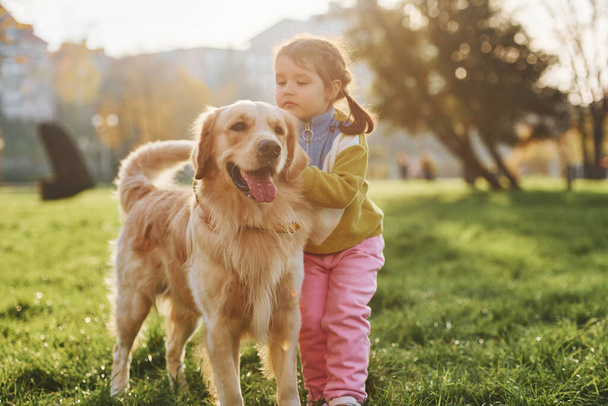 Little girl have a walk with Golden Retriever dog in the park at daytime. - Foto, afbeelding