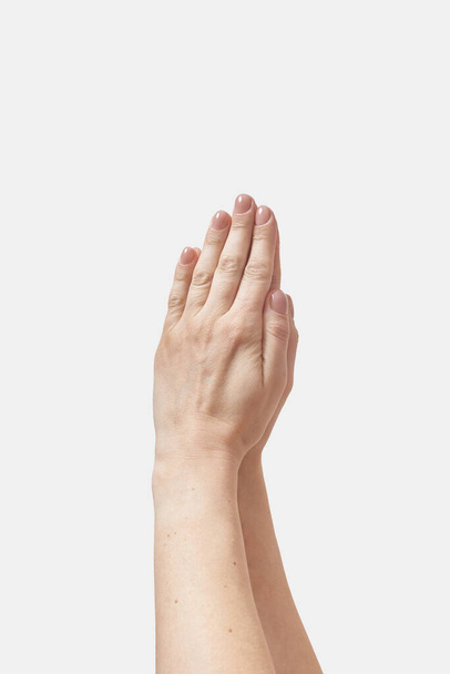 Pray gesture woman hands put together, folded isolated on white background. - Foto, immagini