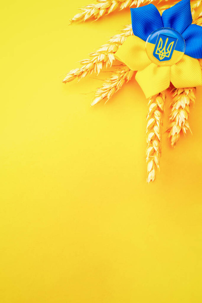 Ukraine background. Ukrainian flower trident symbol with wheat grain ear isolated on yellow banner. Flat lay, copy space - Foto, imagen