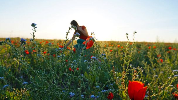 Una joven al atardecer en un campo de amapolas. Flores rojas brillantes crecen por todo el campo. Chica posando para la cámara con una flor, sonriendo. Sombra de flores y niñas en el suelo. Kazajstán. - Foto, Imagen