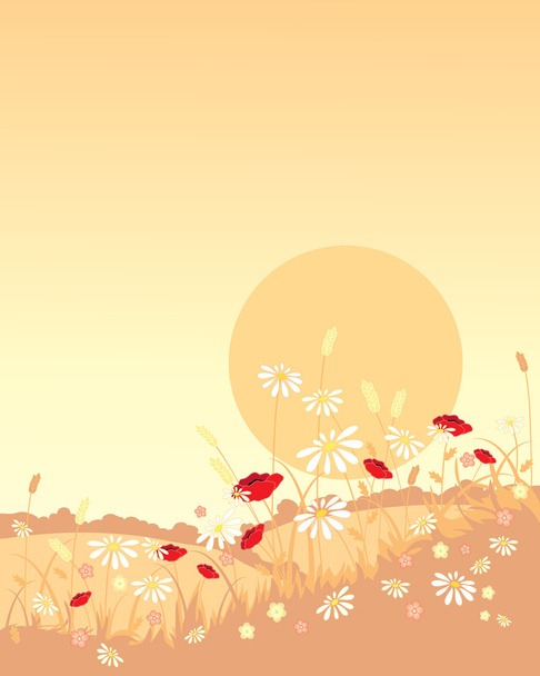 Wildflowers and sun - Διάνυσμα, εικόνα