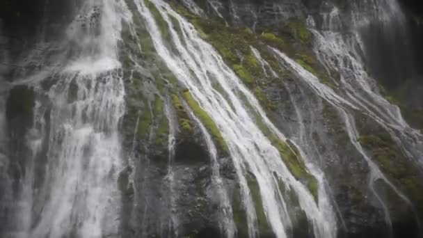 Vergrößerung Film von Panther Creek Wasserfällen in Wind River Valley Skamania County washington mit sprudelndem Wasser Audio-Ton 1080p - Filmmaterial, Video
