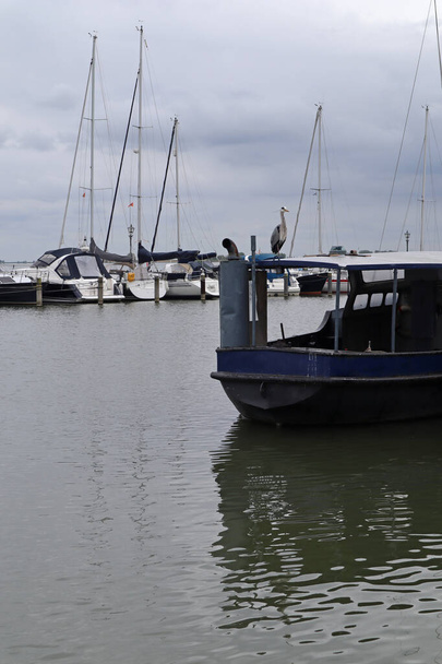 Reihervogel und Boote im Fischerdorf Volendam, Niederlande. Graureiher sitzt auf einem Boot vor einem grauen wolkenverhangenen Himmel und Yachten an einem regnerischen Frühlingstag - Foto, Bild