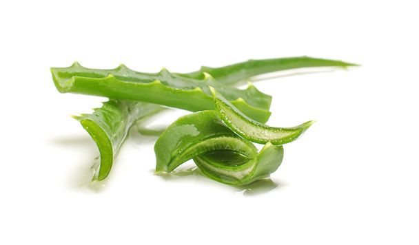 Πράσινο aloe vera φύλλο - Φωτογραφία, εικόνα