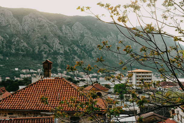 Blick auf die Stadt Kotor von der Bergleiter von Kotor, Blick auf die Burg San Giovanni. Berge Meer und Bucht. Braune Dächer der Stadt - Foto, Bild