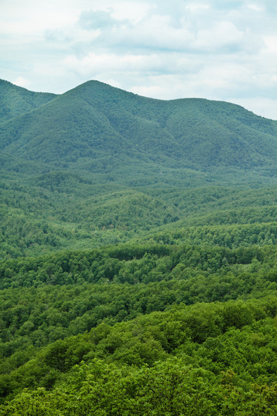 groene berg - Foto, afbeelding
