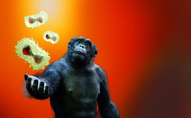 monkey pox virus of animal origin and monkey render 3d - Photo, Image