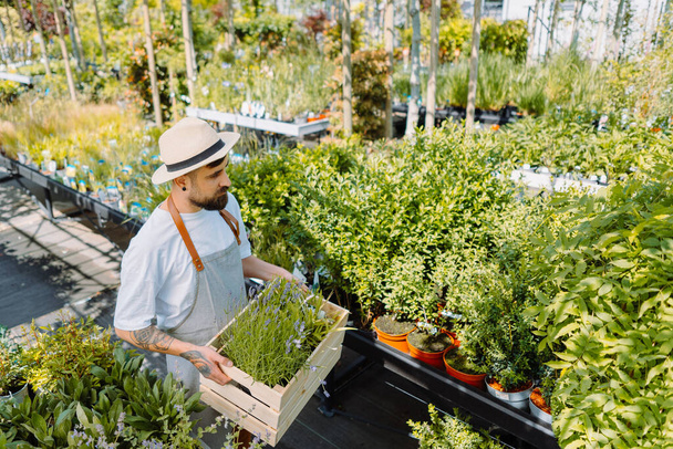 Gardener drží krabici s rostlinami. Elektronický obchod, koncept online objednávky. - Fotografie, Obrázek