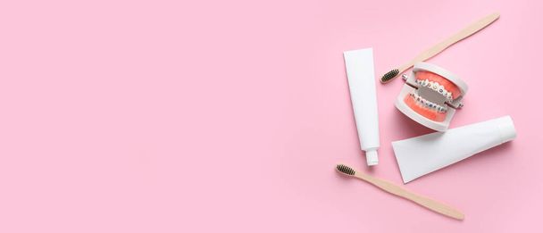 Modèle de mâchoire avec accolades dentaires, brosses à dents et pâte sur fond rose avec espace pour le texte - Photo, image