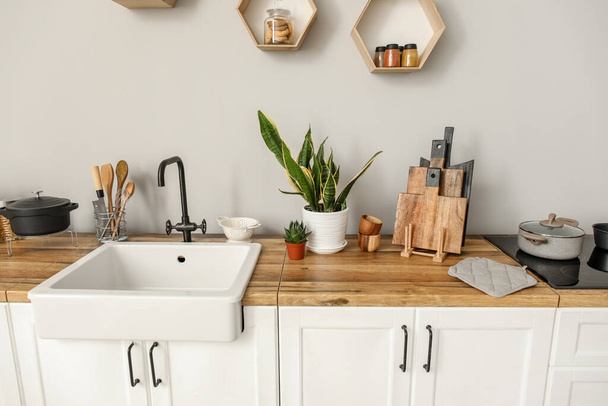 Белые столешницы с раковиной, пищевыми продуктами, кухонной утварью и комнатными растениями возле светлой стены - Фото, изображение