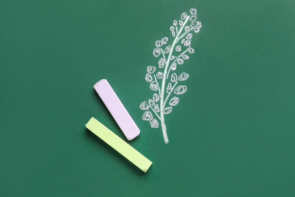 Ramo vegetale disegnato con gessetti sulla lavagna scolastica - Foto, immagini