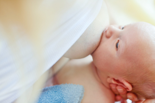feeding of newborn - Zdjęcie, obraz