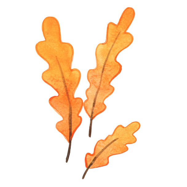 Куча осенних желтых листьев акварели для украшения на осенний и День благодарения фестиваль. - Фото, изображение