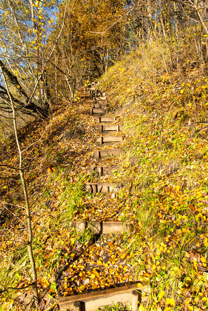 autumn colored tourism trail in the woods - Valokuva, kuva