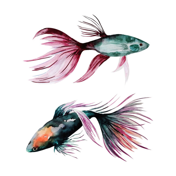 Underwater world of the sea or ocean.Watercolor tropical fish. - Foto, immagini